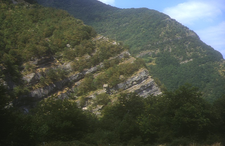 Arenarie del Monte Cervarola (Membro del Torrenta Dardagna) lungo il T. Dargagna - Foto Botti