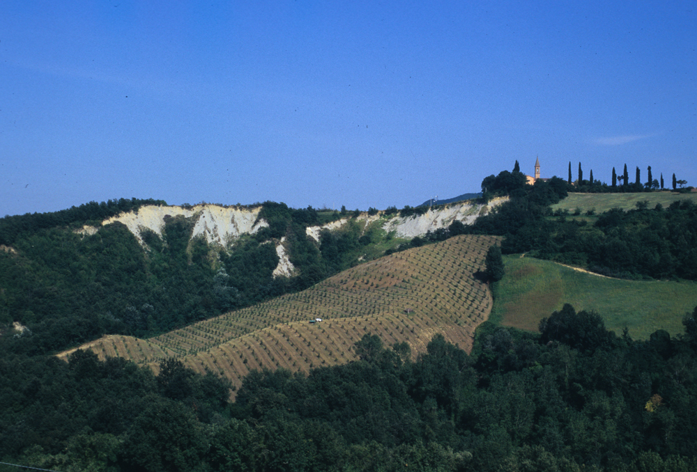 Callanchi di San Lorenzo in Collina - Foto Archivio Servizio Geologico