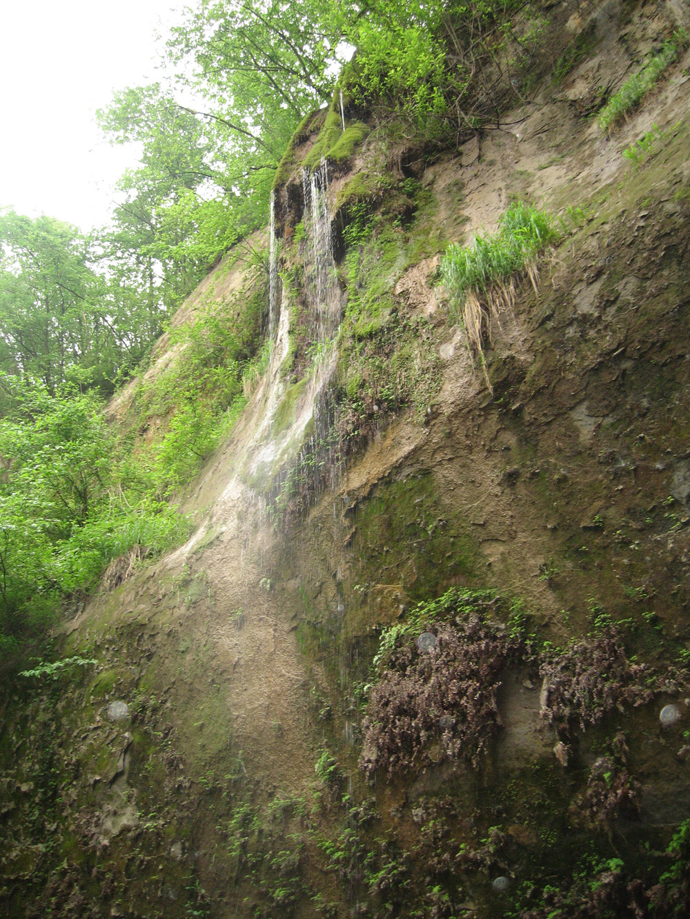 La cascata del Rio Conco ed il deposito di travertino - Foto Lorito