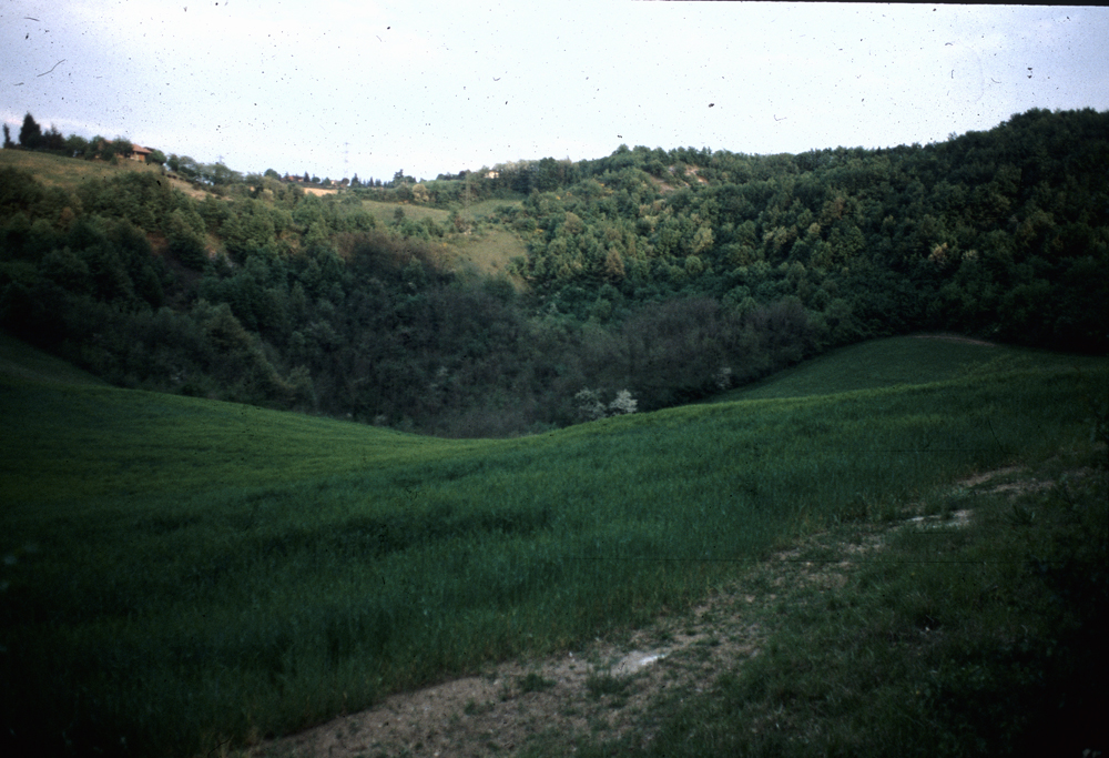 La Dolina della Spipola - Foto Archivio Servizio Geologico