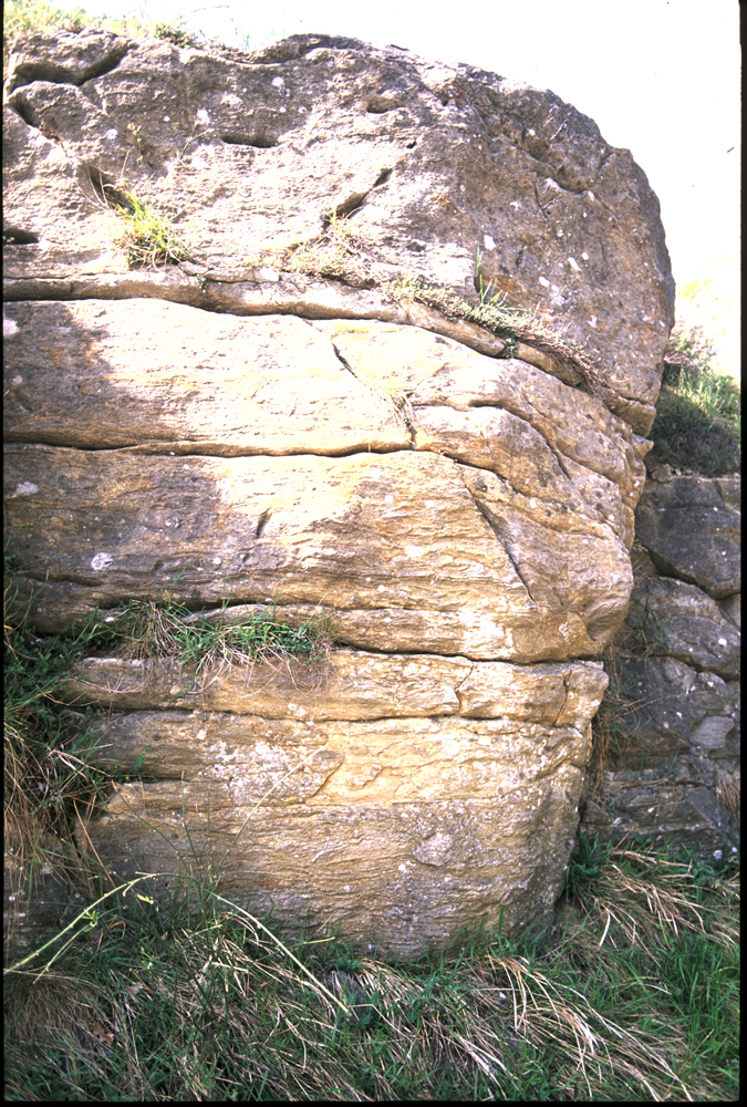 Strutture dell'affioramento delle Gole del torrente Zena - Foto Archivio Servizio Geologico