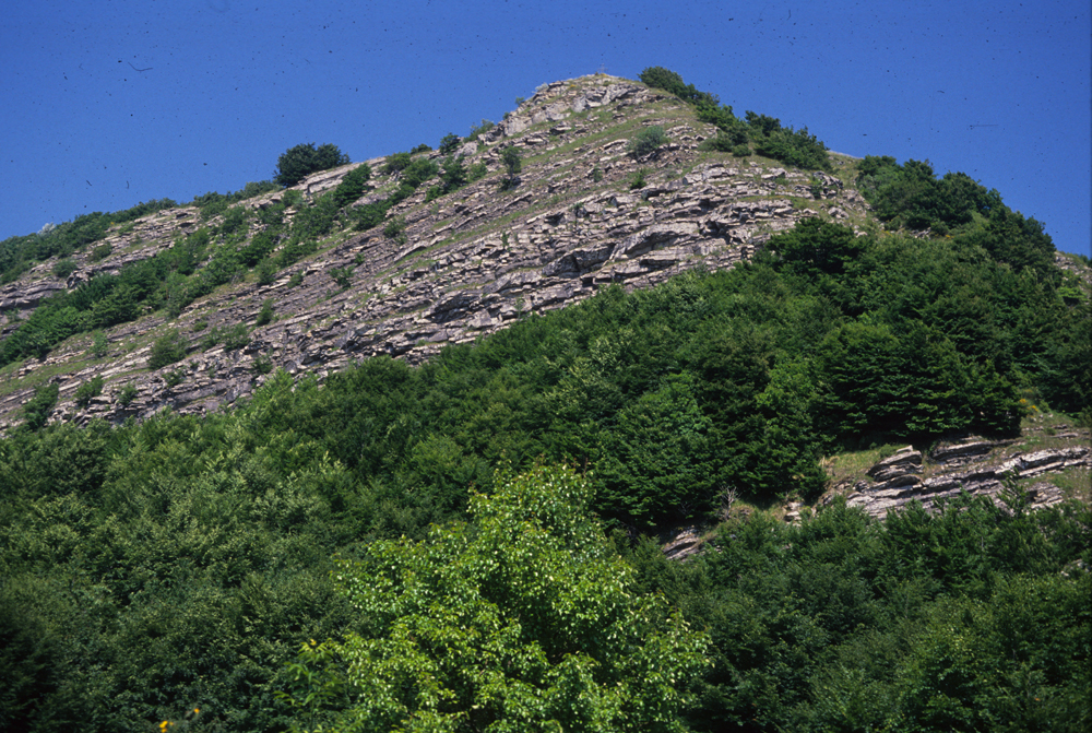 Monte Calvi - Foto Archivio Servizio Geologico