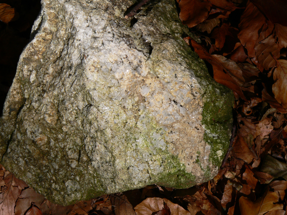 Dettaglio del granito - Foto Archivio Servizio Geologico