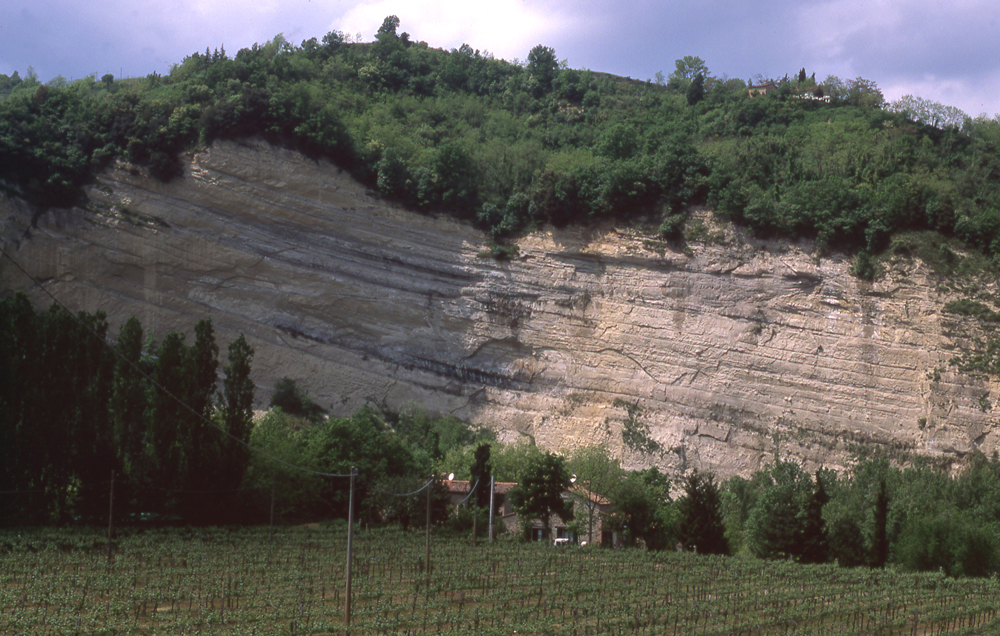Dettaglio dell'affioramento, con la superficie erosiva