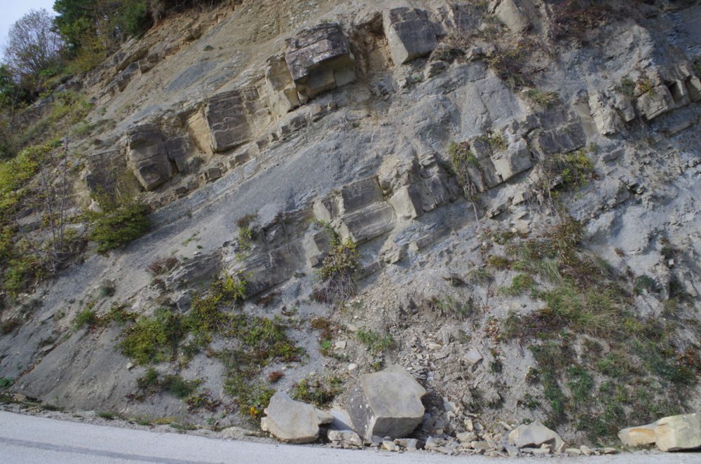 Affioramento presso il Passo della Braccina - Foto Archivio Servizio Geologico