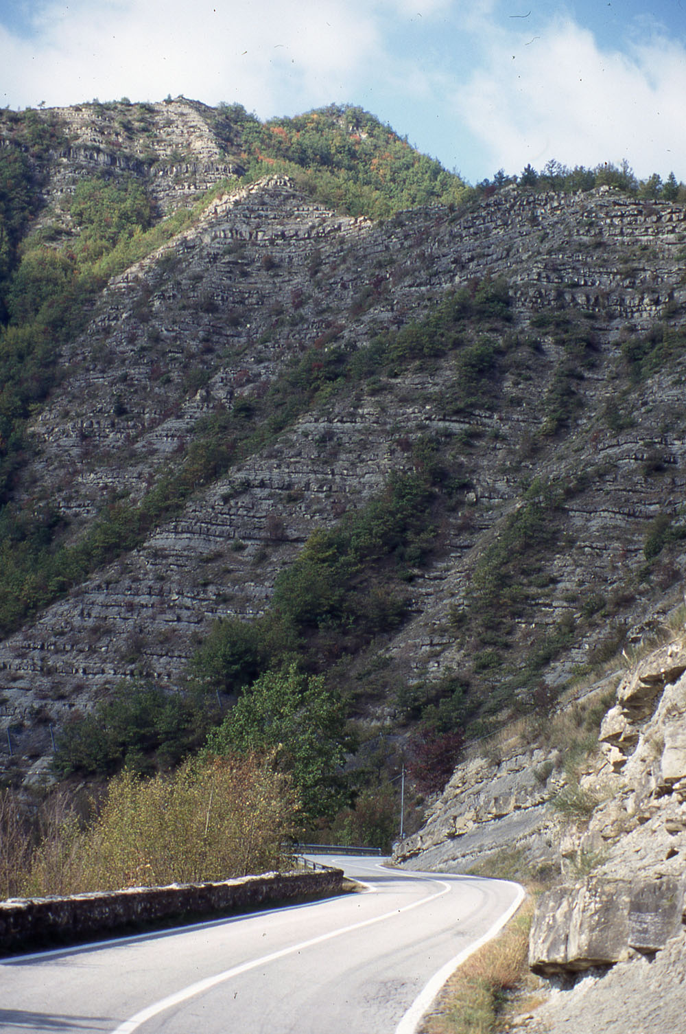 Vista dalla SS 310 - Foto Archivio Servizio Geologico