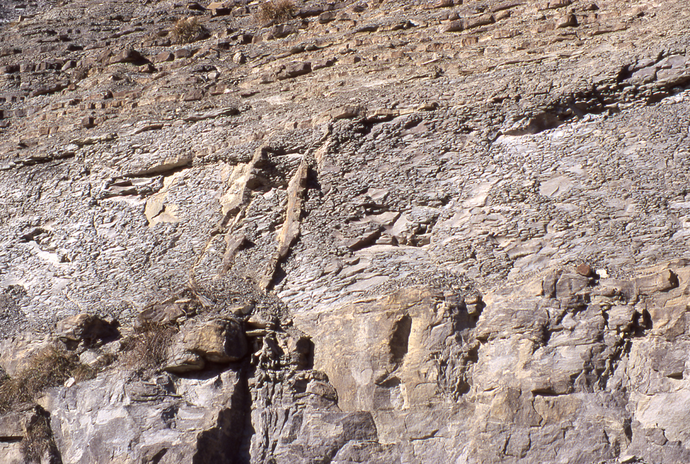 Filoni e vulcanelli di sabbia - Foto Archivio Servizio Geologico