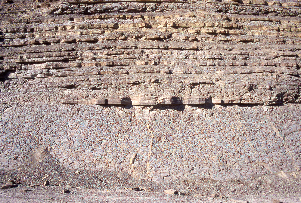 Vulcanelli di sabbia - Foto Archivio Servizio Geologico