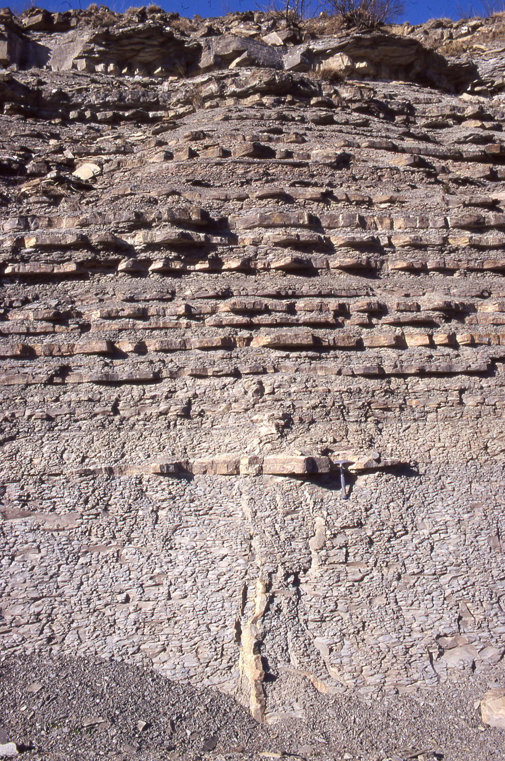 Vulcanelli di sabbia presso Valbura - Foto Archivio Servizio Geologico