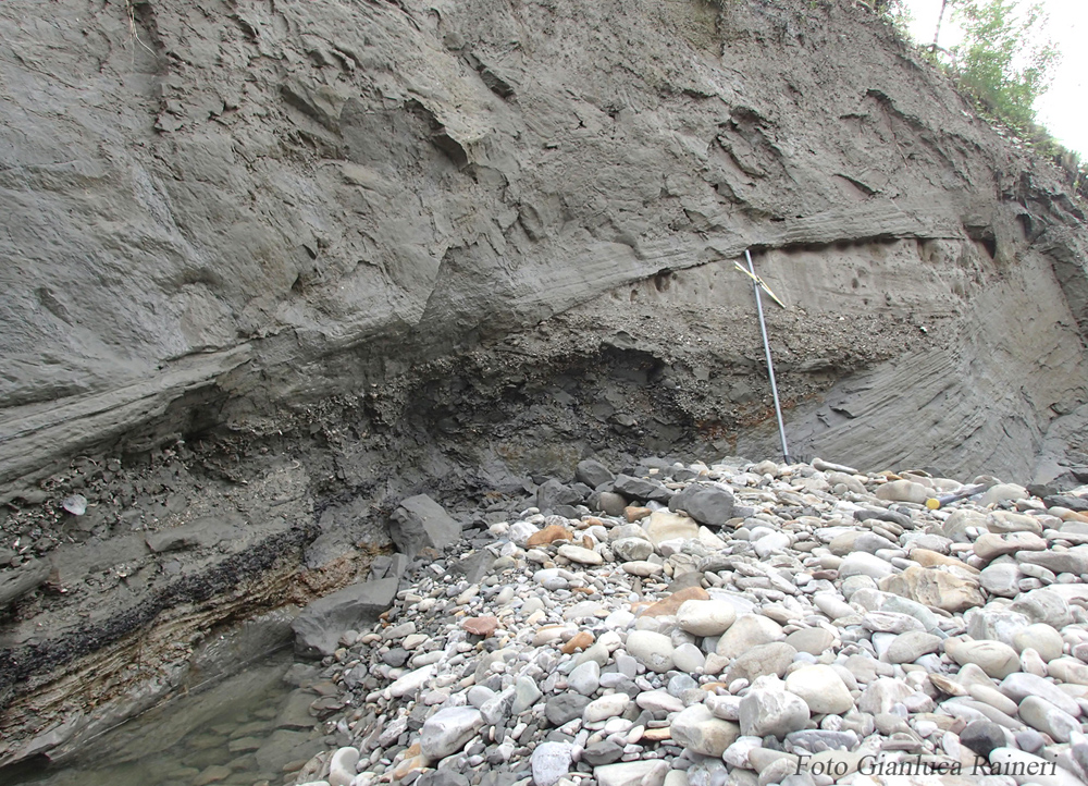 Strutture sedimentarie e livelli fossiliferi - foto Gianluca Raineri