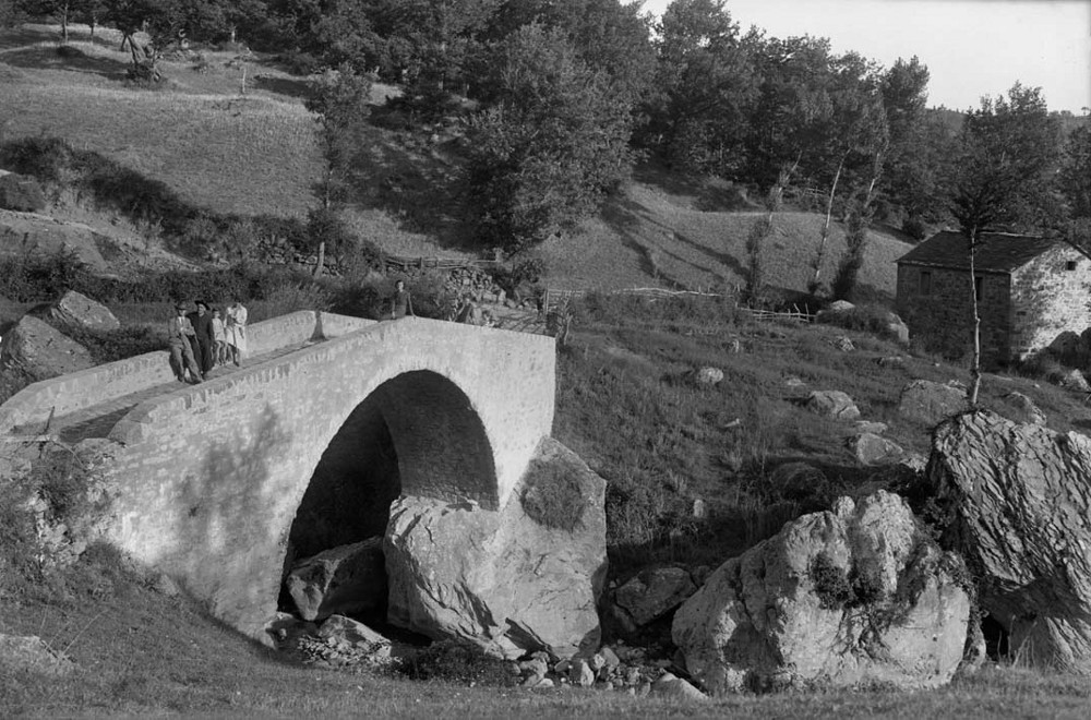 Torrente Alfero - Archivio Fotografico della Romagna di Pietro Zangheri - patrimonio pubblico della Prov. di Forlì-Cesena, in gestione al Parco nazionale delle Foreste Casentinesi