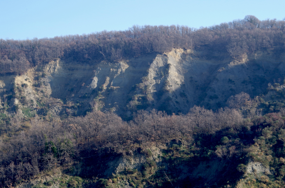 Intercalazioni di strati arenacei intercalati nelle Argille Azzurre, presso la Ripa della Morte.