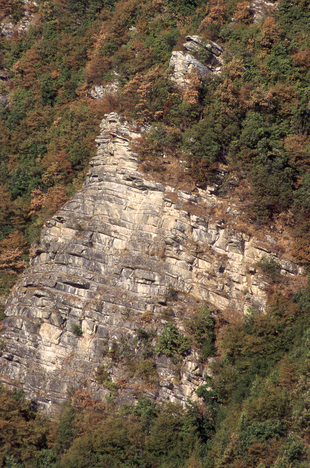 Dettaglio delle rocce affioranti nelle gole del Brasimone
