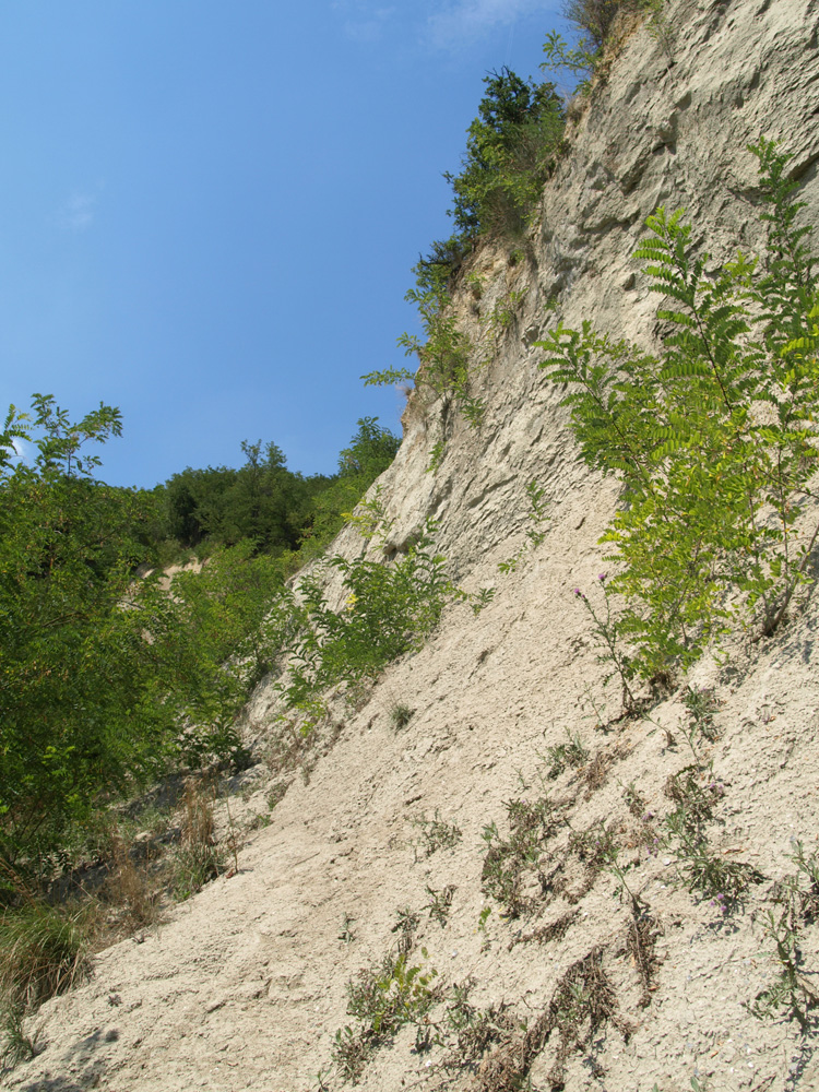 Voragine di Montezago, Calanchi dei rii Stramonte e Carbonaro - Foto Archivio Servizio Geologico