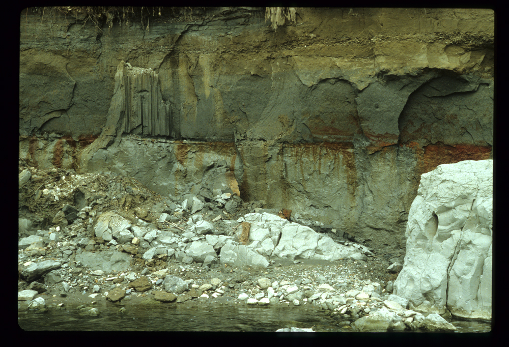 Sezione stratigrafica del Torrente Stirone - Archivio fotografico Delfino Insolera, cortesia di Istituto per i beni artistici culturali e naturali E-R