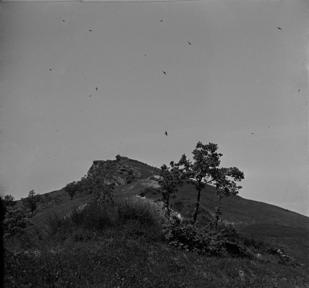 Monte Castellaccio - Archivio Fotografico della Romagna di Pietro Zangheri - patrimonio pubblico della Prov. di Forlì-Cesena, in gestione al Parco nazionale delle Foreste Casentinesi