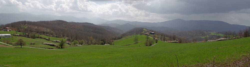 Panoramica da Strela dell'area di affioramento dei depositi lacustri di Compiano; in primo piano le testate vallive dei rii Raschiano e Raschianello.