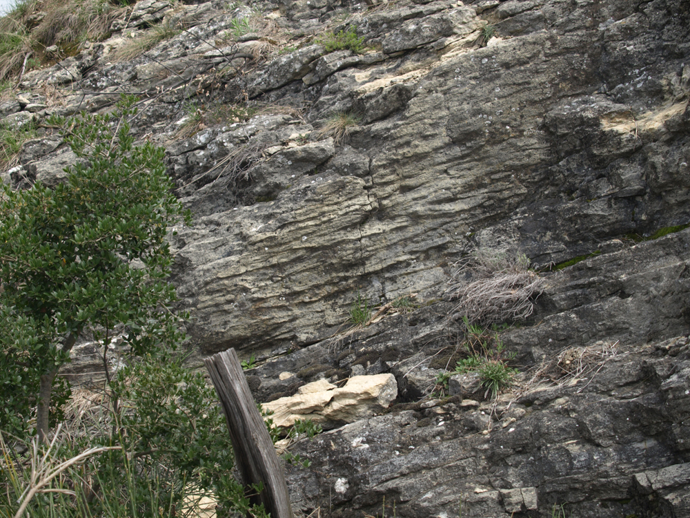 Fotogno Tausano - Strutture sedimentarie - Foto Archivio Servizio Geologico