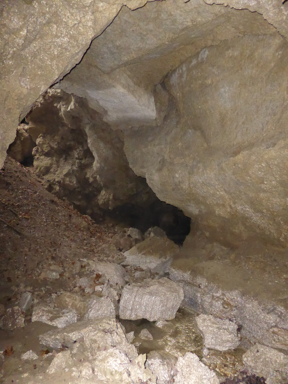 Accesso alla grotta - Foto Archivio Servizio Geologico