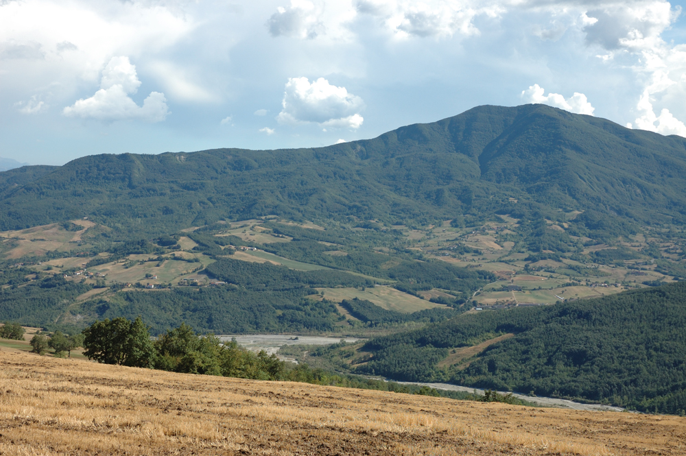 Vista panoramica del Monte Dosso - Foto Archivio Servizio Geologico