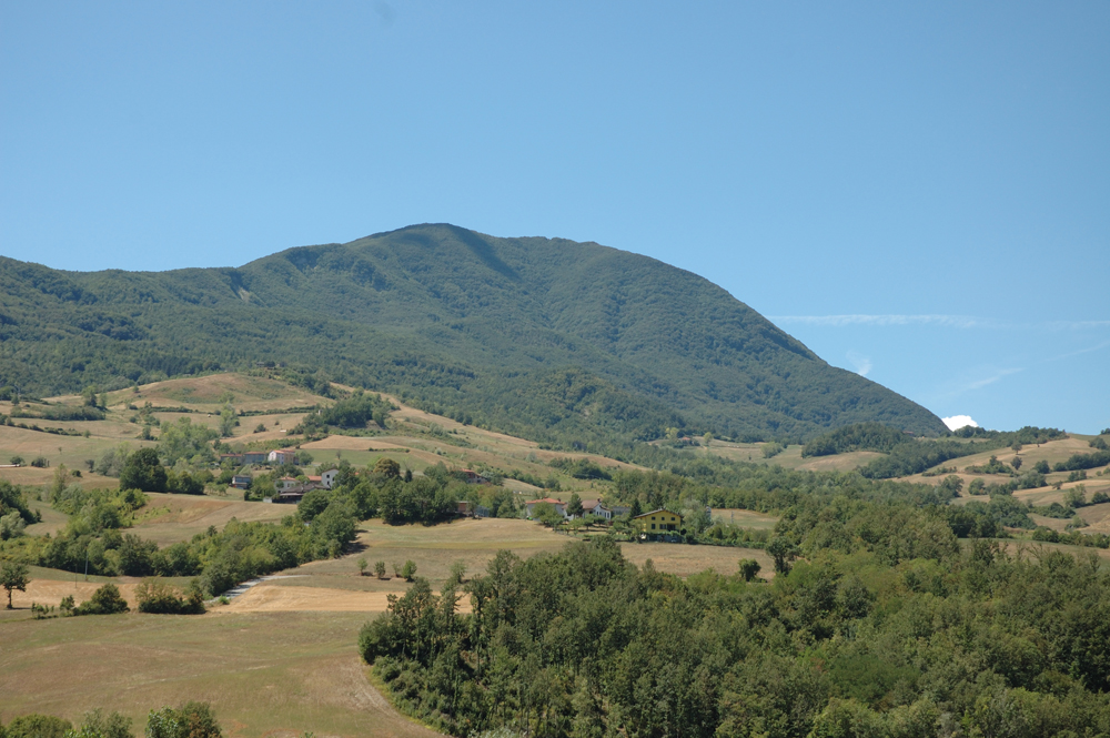 Vista del Monte Dosso - Foto Archivio Servizio Geologico