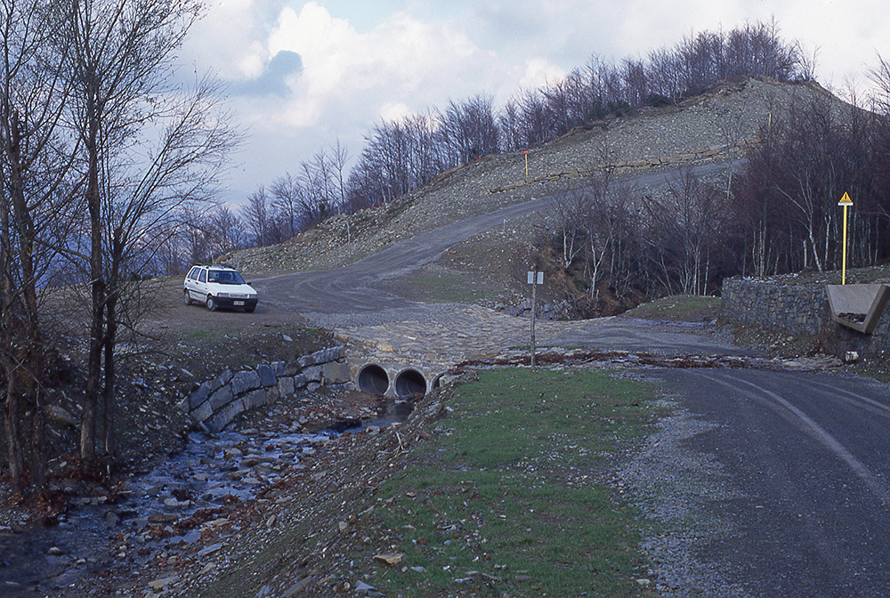Veduta del Taglio della Regina dal sentiero 555 - Foto Archivio Servizio Geologico