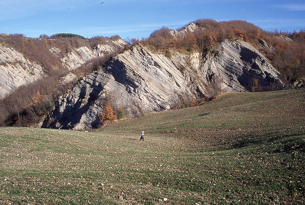 La successione marnosa e le sottili intercalazioni di strati arenacei - Foto Archivio Servizio Geologico