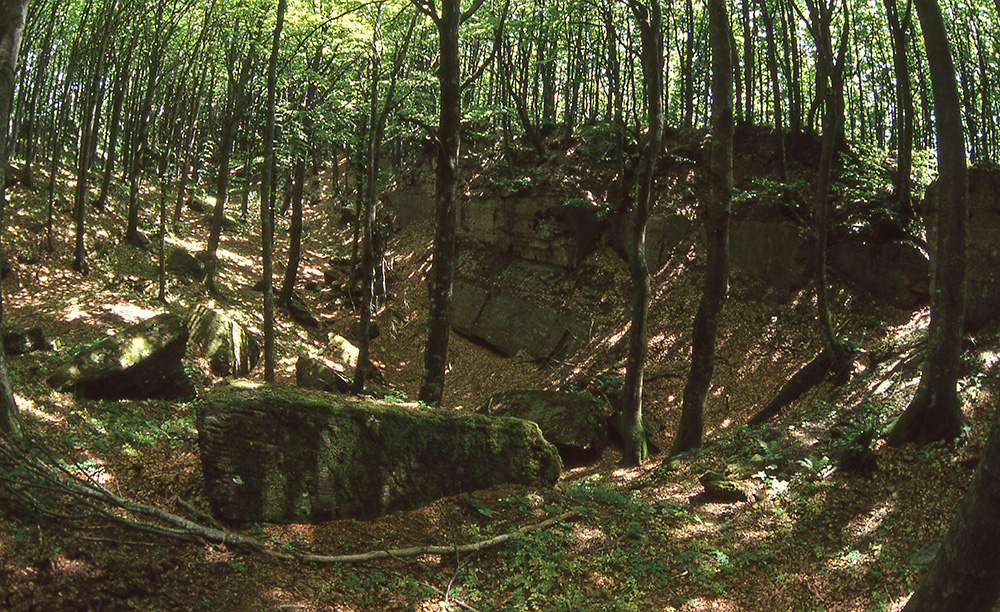 Vallone di Poggio Pian Tombesi - Foto Archivio Servizio Geologico