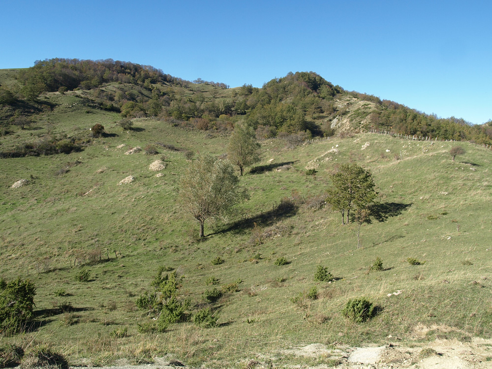 Paesaggio in cui si apprezzano la coltre ligure e la Marnoso Arenacea. Sullo sfondo il Monte Fagiola Nuova