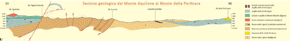 Sezione geologica del Monte della Fagiola