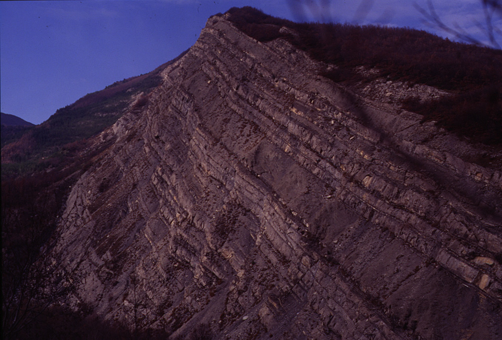 Flysch di Monte Caio al Monte Torricella