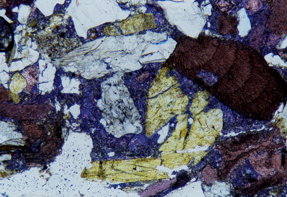 Come appare il Flysch di M. Cassio al microscopio. Sono presenti frammenti di rocce sedimentarie sia carbonatiche che non carnatiche, metamorfiche, magmatiche, bioclasti.