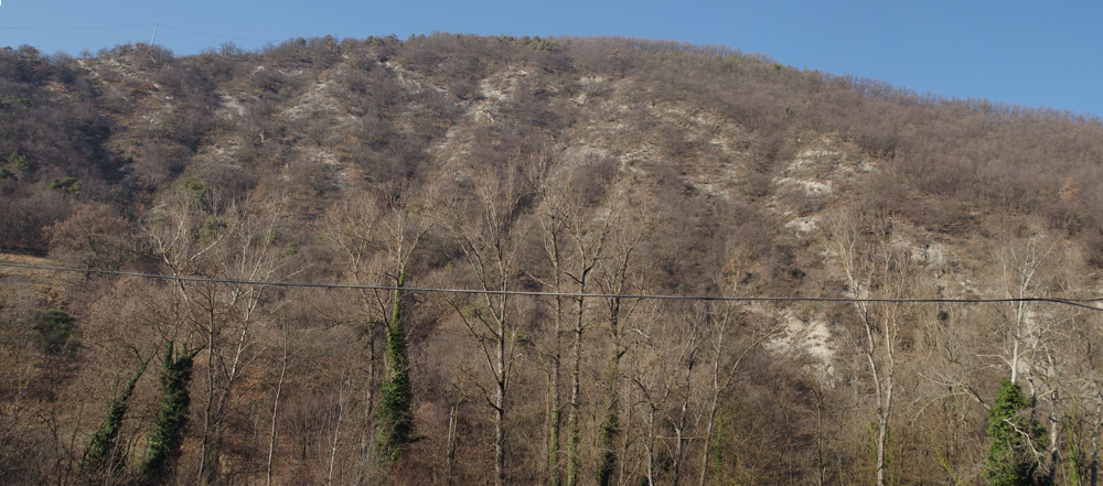 Versante orientale del Monte Fontanella visto dal fondovalle del torrente Tresinaro. Si notano, tra la copertura boschiva, gli affioramenti del Flysch di Monte Cassio da cui spiccano, per erosione selettiva, le testate degli strati calcarei.