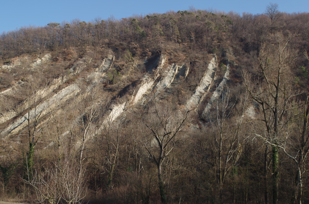 Parte del geosito alla destra del torrente Tresinaro dove, assieme all'elevata inclinazione degli strati del Flysch di Monte Cassio, si può notare che verso l'alto gli strati stessi descrivono una piega.