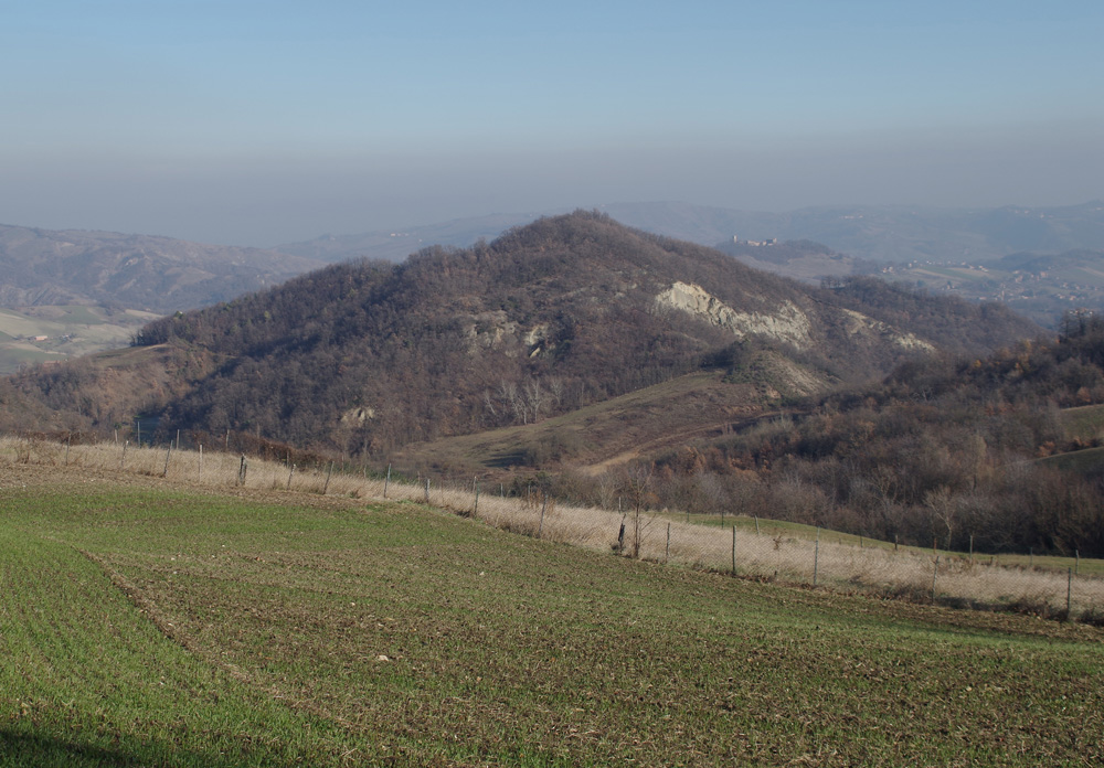 La sommità del Monte Bergola vista da ovest.