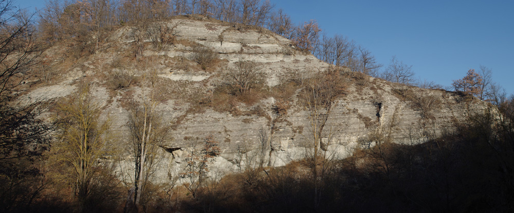 Affioramento della Formazione di Pantano lungo il fondovalle del torrente Tresinaro.