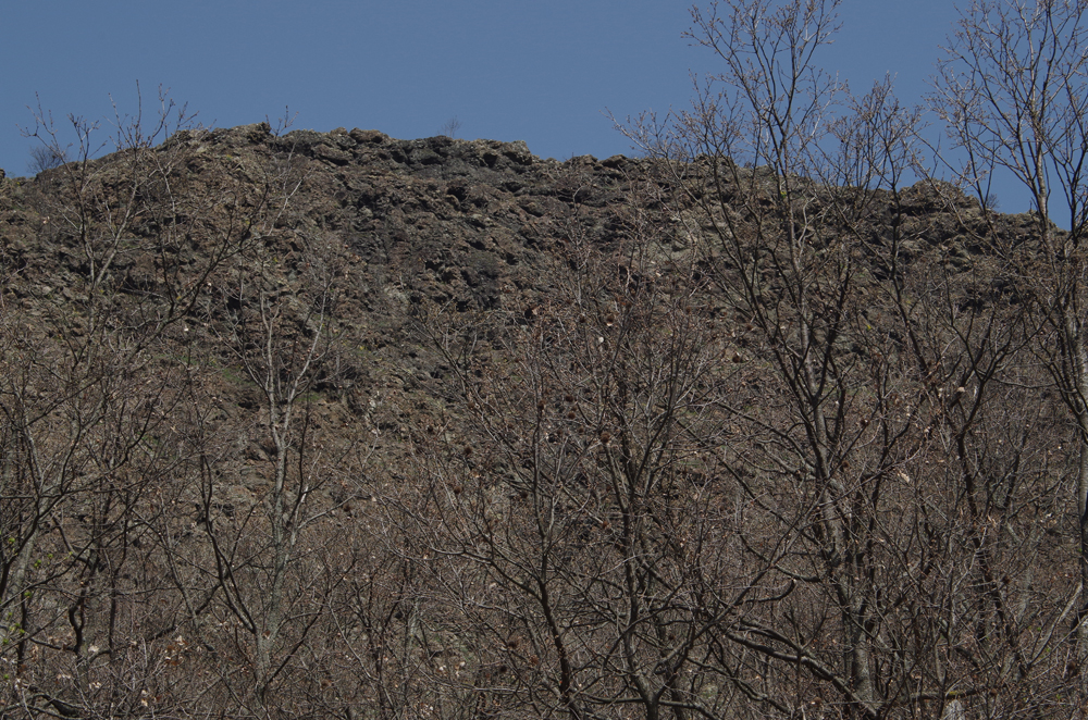 I basalti a cuscino lungo la sponda sinistra del Taro (Campi delle Bratte).